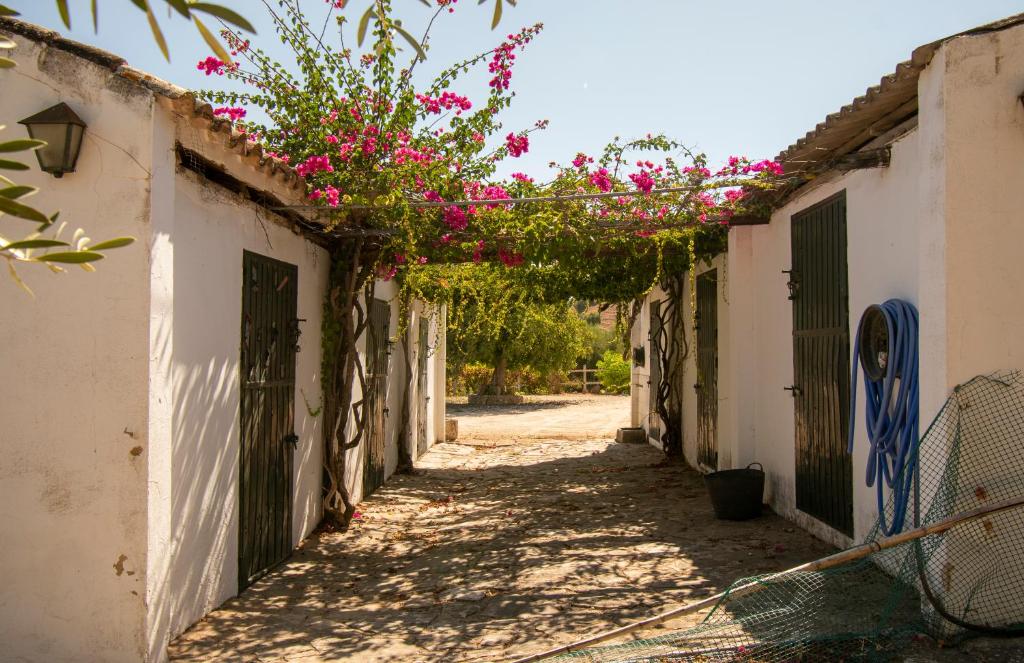 Casa rural el Carmen photo 3