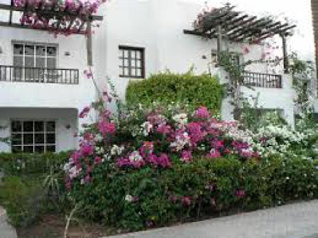Stunning Spacious One Bed in Delta Sharm