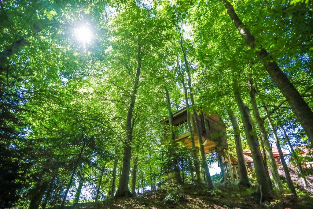 Na Skaluc - Country estate & Glamping photo 2