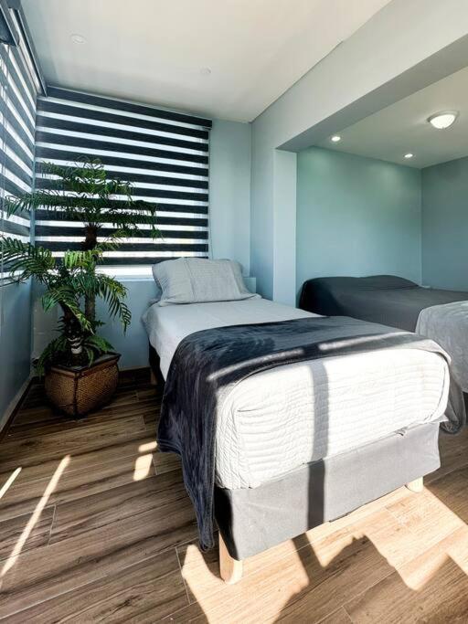 Departamento Beto photo 1