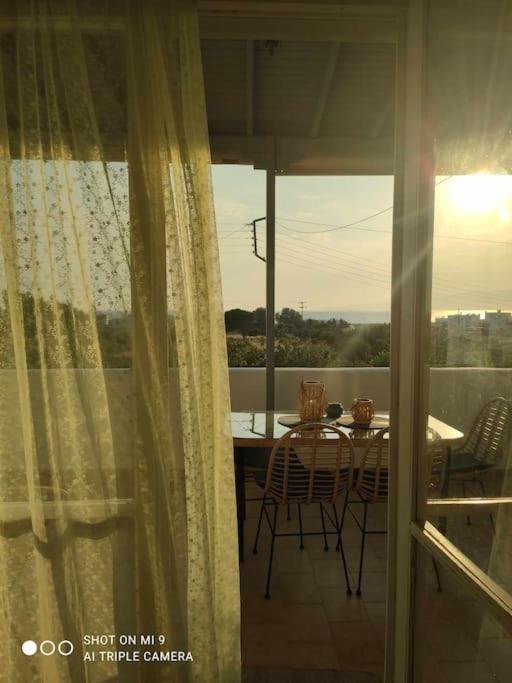 summer family house photo 2