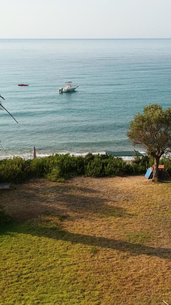 Mini mountain view _ next to the sea photo 3
