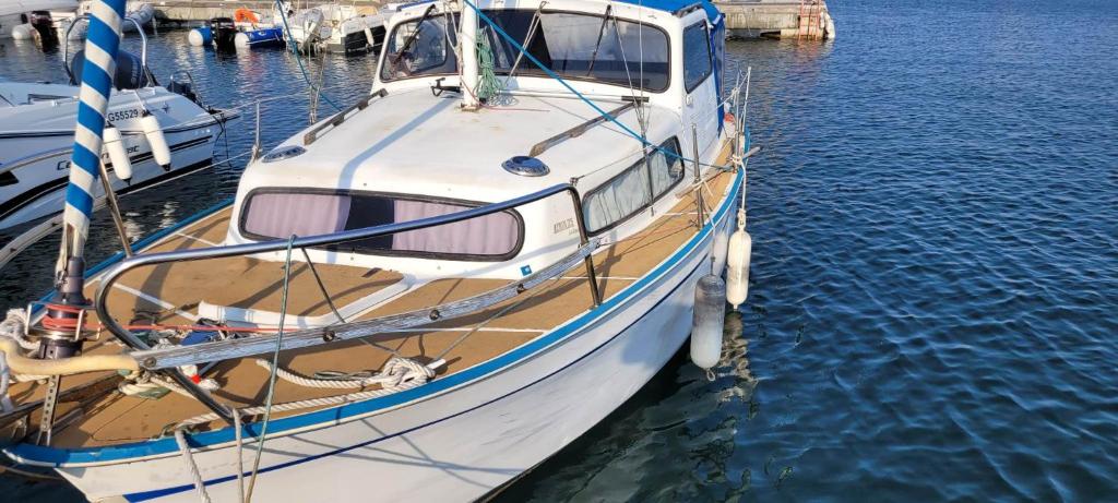 bateau de plaisance Cerbere photo 4