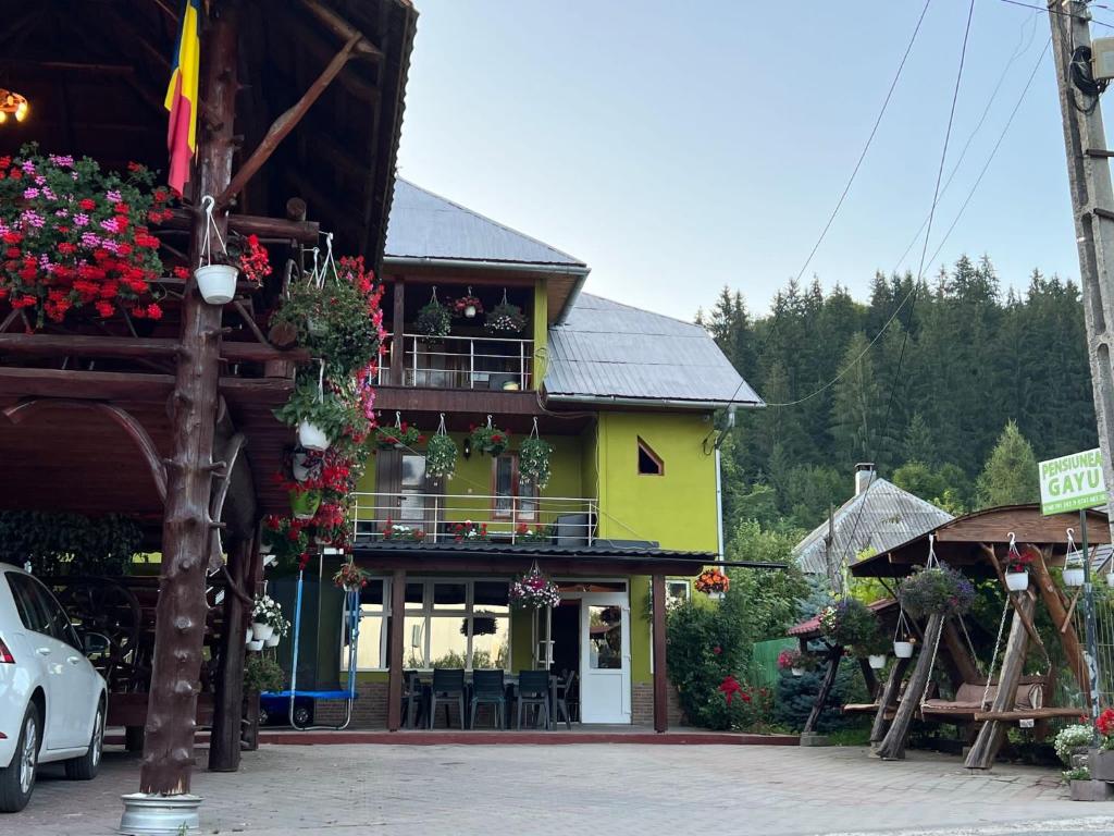 Pensiunea Gaiu photo 4