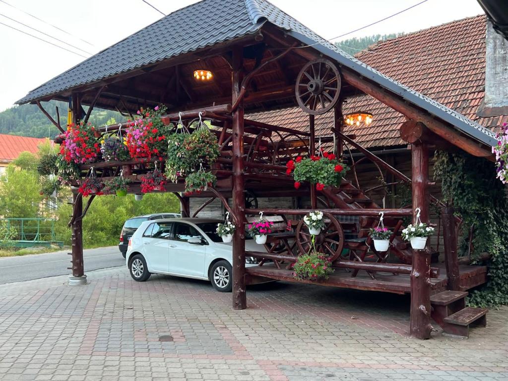 Pensiunea Gaiu photo 1