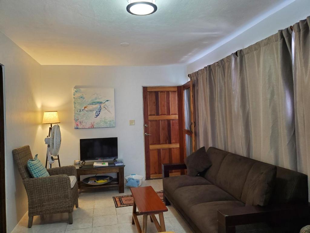 Casa Cocoloba photo 2