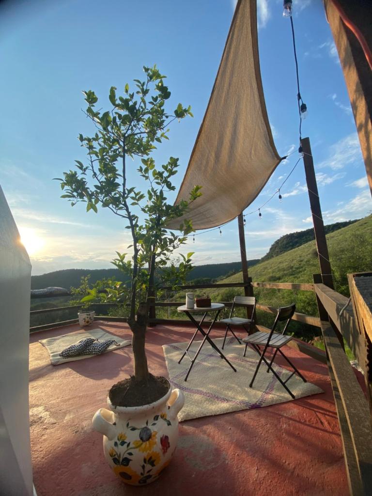 Chichi Jamaica Glamping Hotel Campestre photo 4