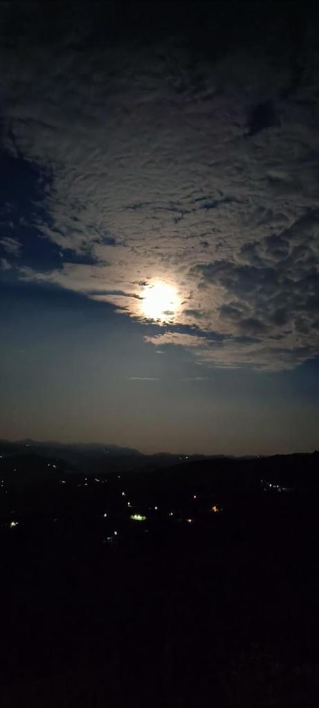 Rudra Himalayan Retreat photo 4