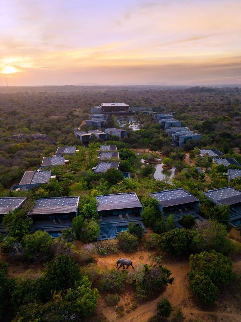 Hilton Yala Resort photo 3