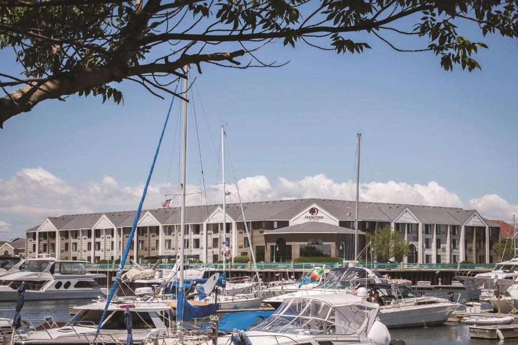 Doubletree by Hilton Hotel Racine Harbourwalk image