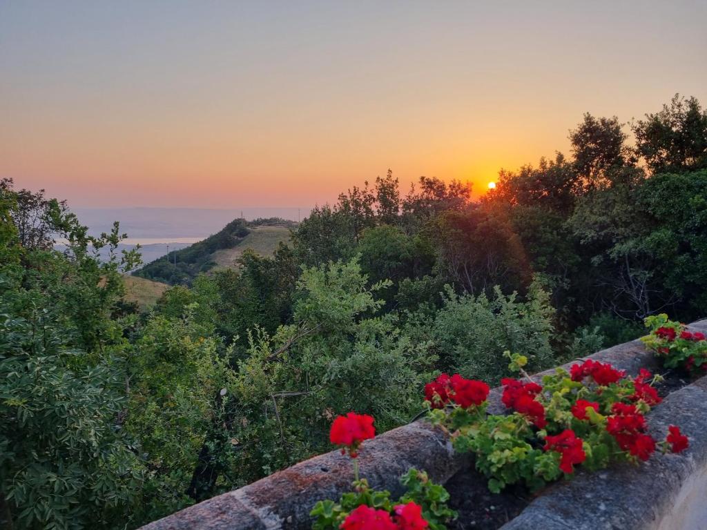 Villa Becci photo 3