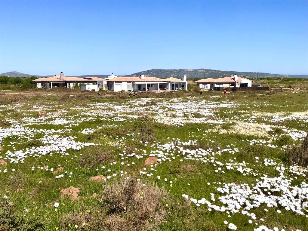 HIDDEN GEM - A Unique Seaside-Game Reserve-Golf Estate-Heated Lap Pool 6 sleeper 3 Bedroom Home with 2 Queen Suites and 1 bedroom with 2 single beds