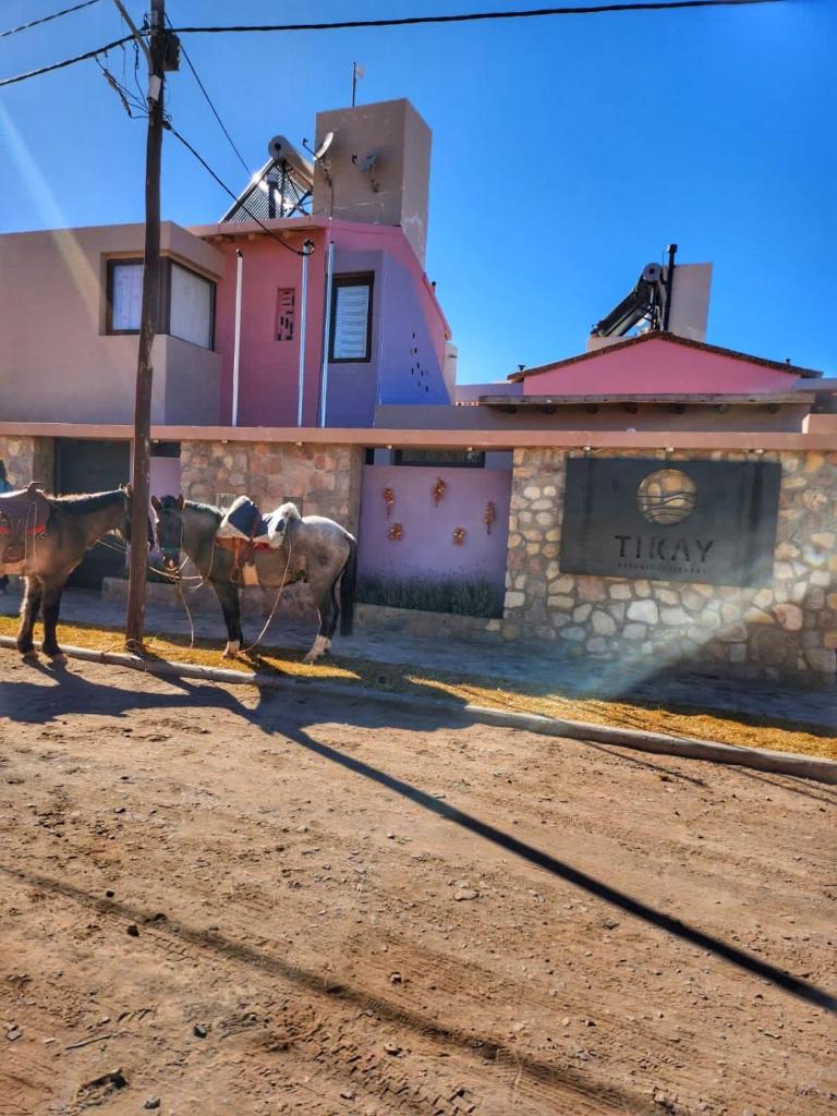 Tikay Humahuaca Refugio de Tierras photo 4