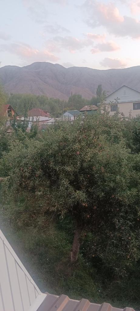 "Kamchybek Ata" guest house B&B photo 1