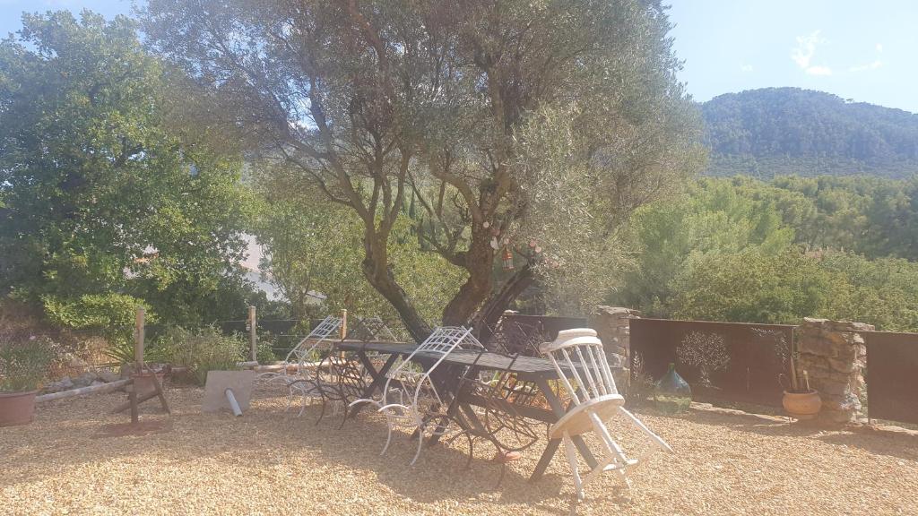 BIENVENUE photo 3