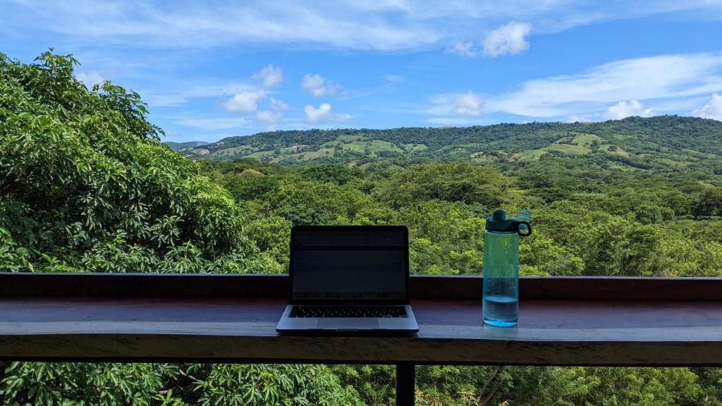 Four Trees Jungle Lodge photo 3