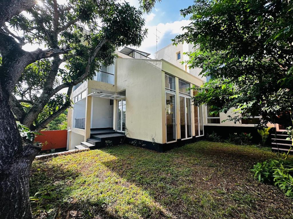Mango Tree Villa photo 3