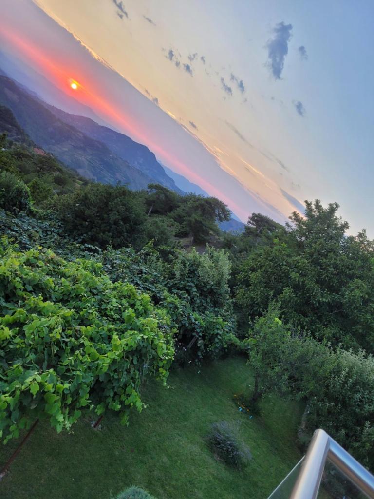 Bujtina Bezhani Gjinar photo 4