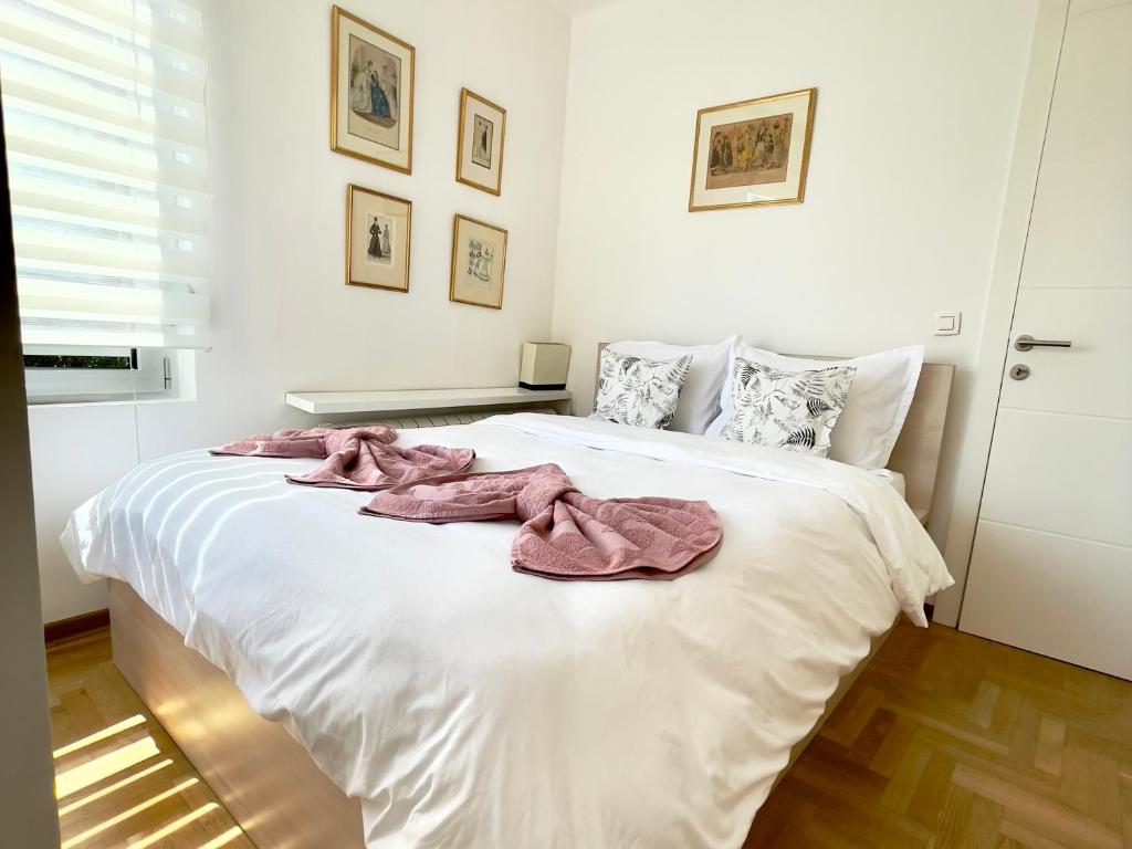 Regina Vracar apartment and garage photo 2