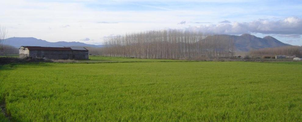 Habitacion y naturaleza photo 3