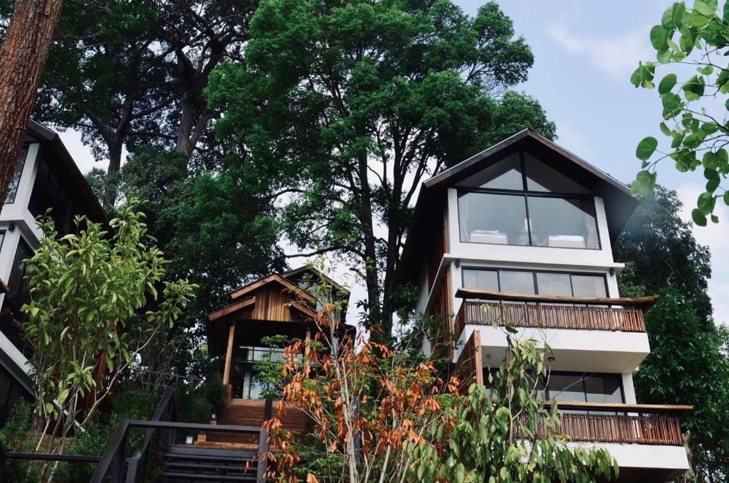 Baan Nhuer Mek บ้านเหนือเมฆ Coffee and Desk on the Cloud, Chiang Mai