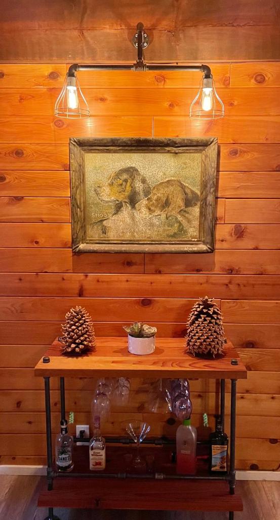 Sugar in the Raw Cabin w AC - Hot Tub photo 3