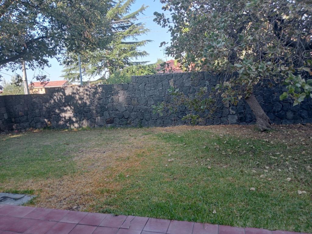 Milo's House photo 1