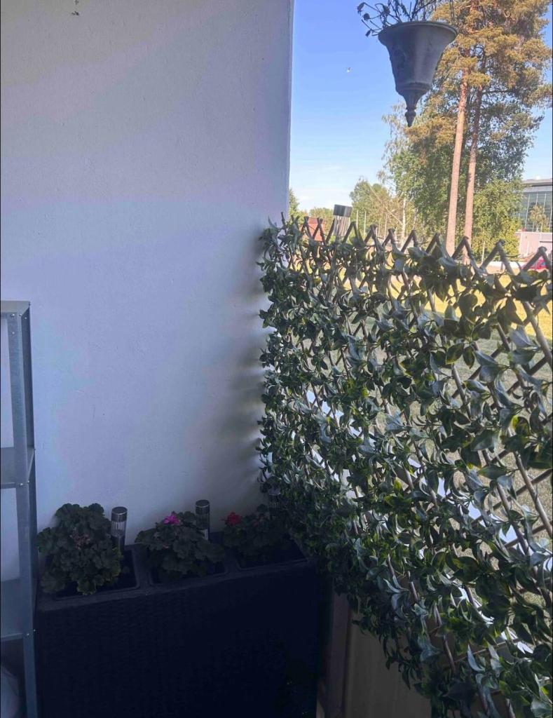 Glöm dina bekymmer i denna rymliga lägenhet photo 2