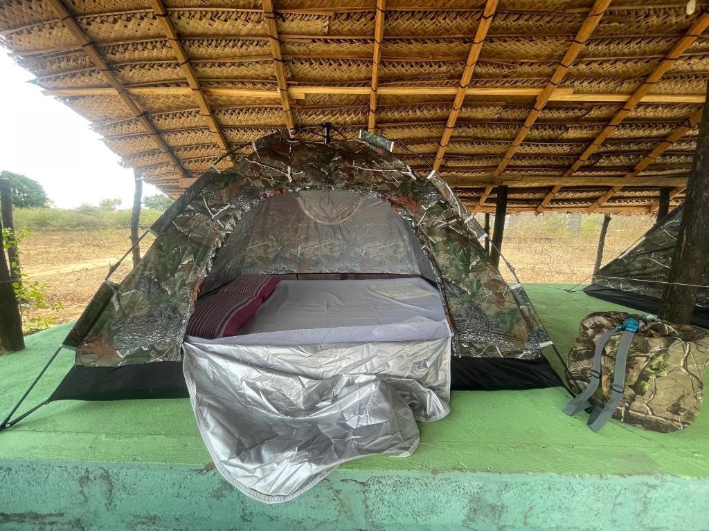 Jungle House and Camping Tents photo 4