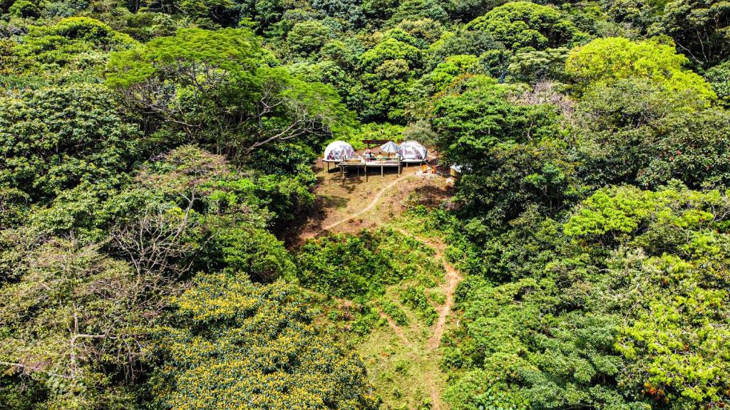 Itawa Family Glamping & Ecoparque turístico photo 1