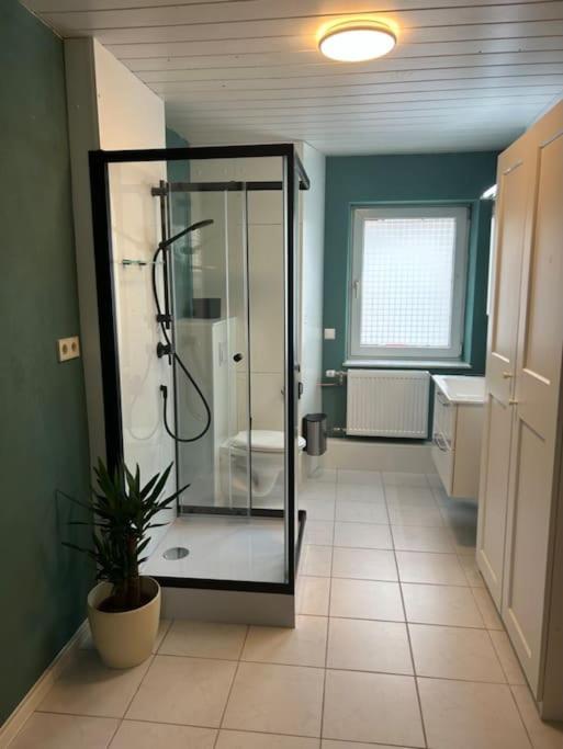 Schönes Studio mit Küche, frisch renoviert photo 3