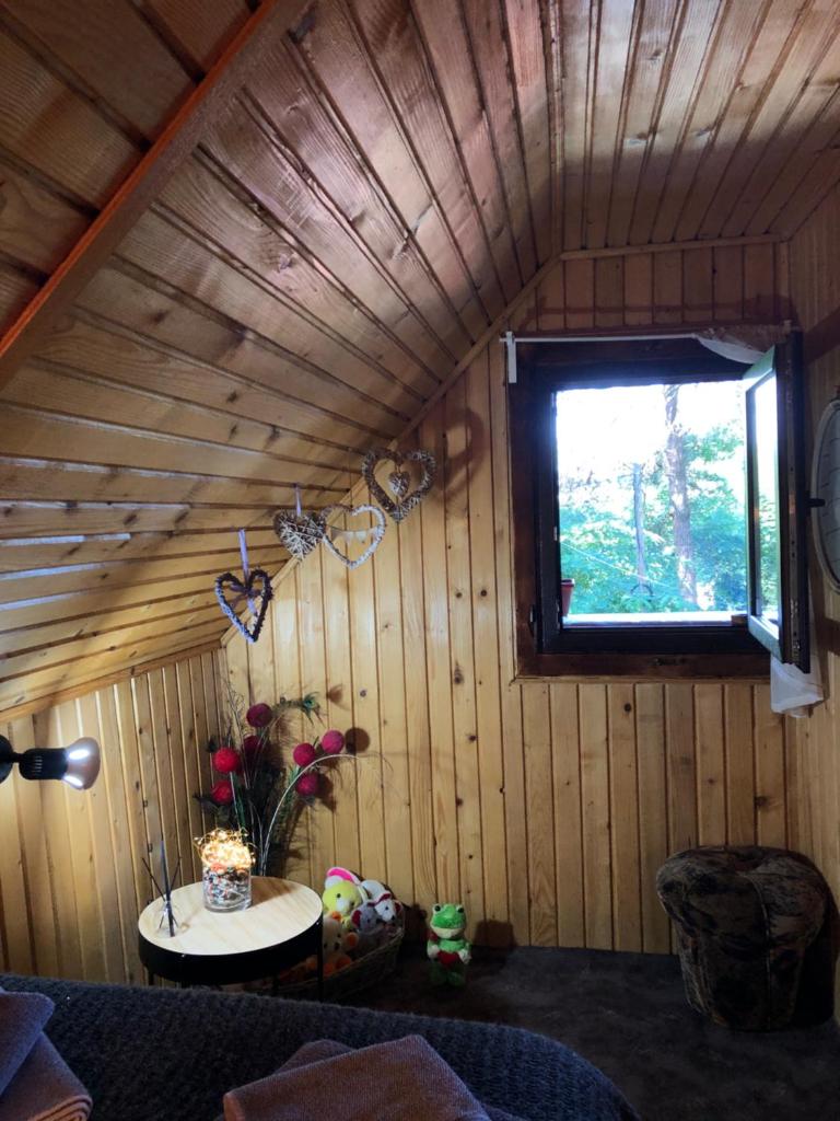 Inchirieri cabana- “Chalet Rustique” photo 2