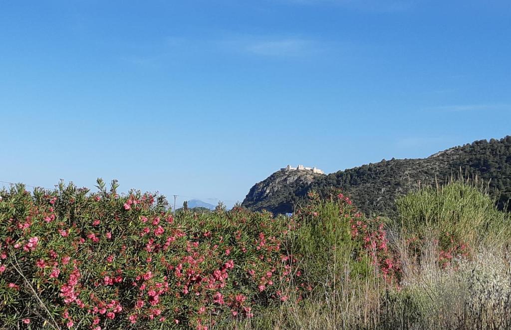 apartamento Xeresa del monte Resort photo 3
