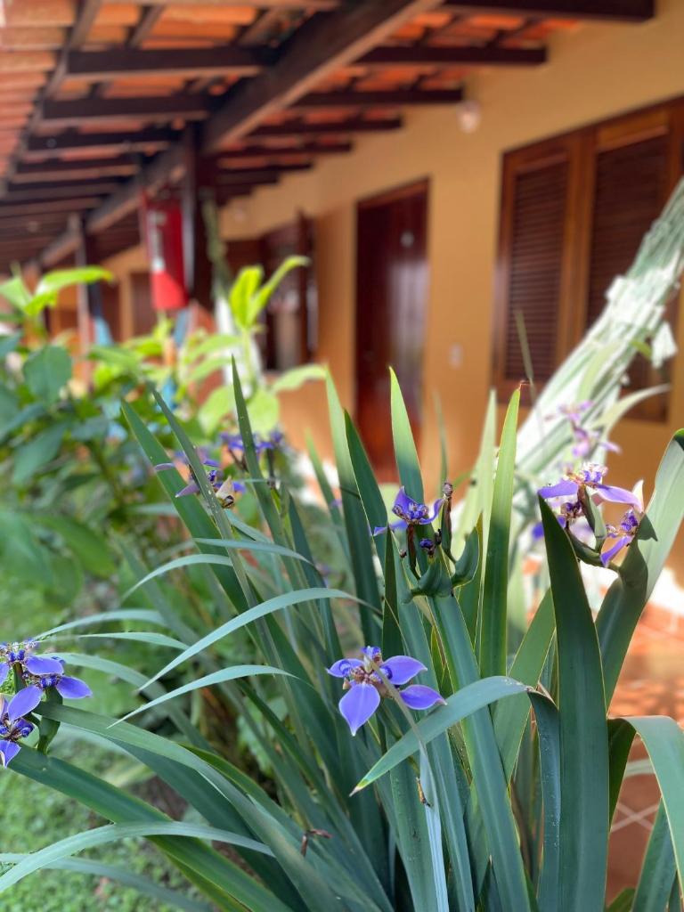 Pousada Jardins Paraty photo 4
