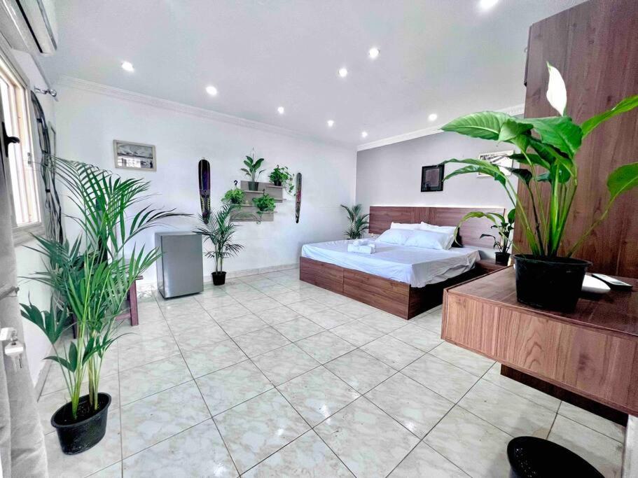 Private jacuzzi Roof studio w/amazing Pyramids v photo 1