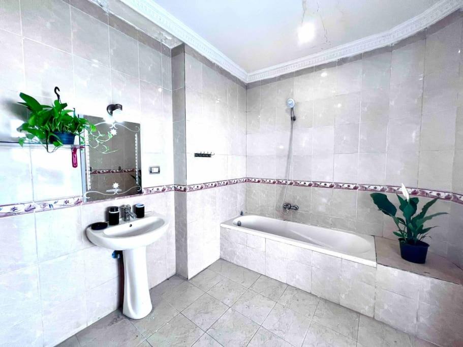 Private jacuzzi Roof studio w/amazing Pyramids v photo 4