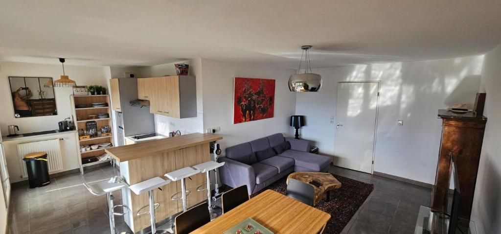 Appartement coeur toulousain photo 1