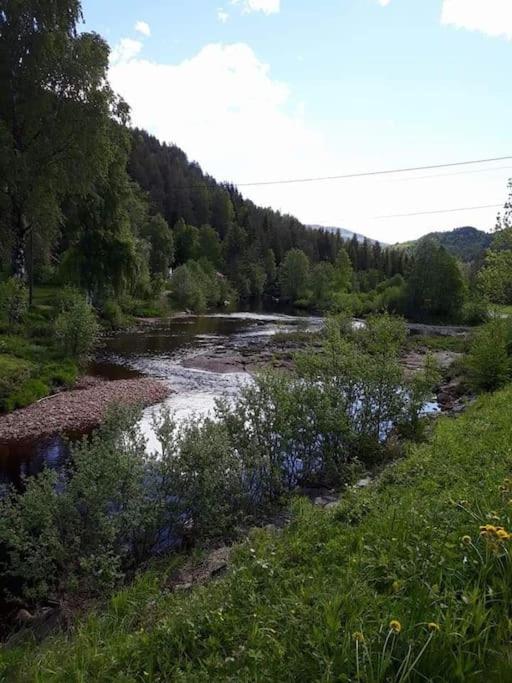 Tangen gjestehus The place to stay in Telemark photo 2