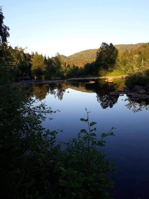 Tangen gjestehus The place to stay in Telemark photo 4