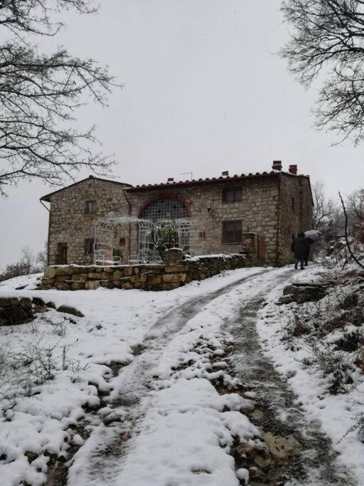 I Ruderi di Maiano photo 1