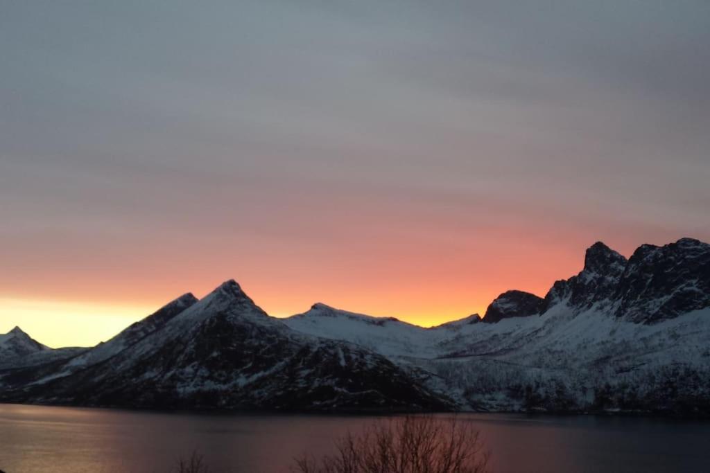 Senja, Husøy i Senja. Leilighet med utsikt over fjord og fjell photo 4