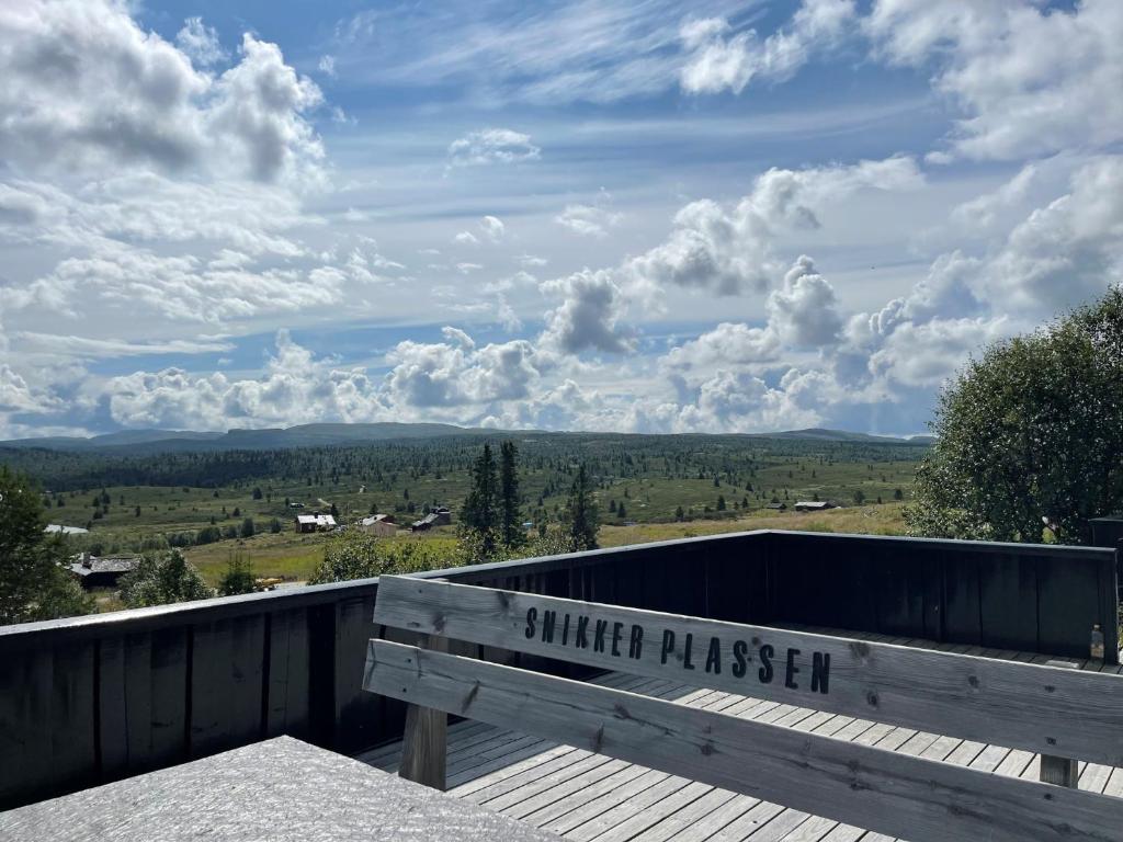 Snikkerplassen - cabin with amazing view and hiking opportunities photo 3