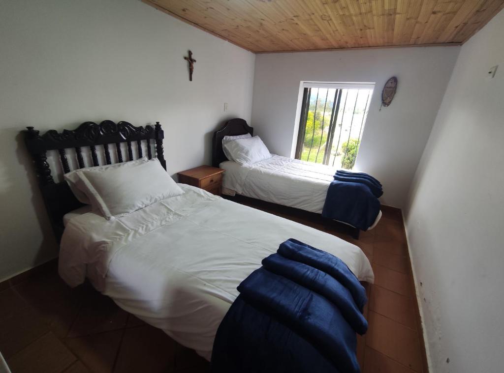 Cabañas & Glamping ILLARI Boutique photo 1