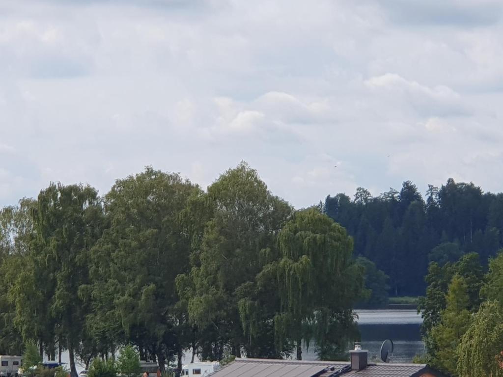 Traumhafte neue Dachterrassenwohnung am Soyener See photo 2