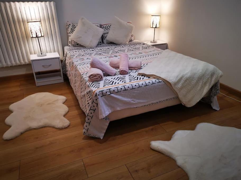 Porte de Genève. Grand appartement en résidence.