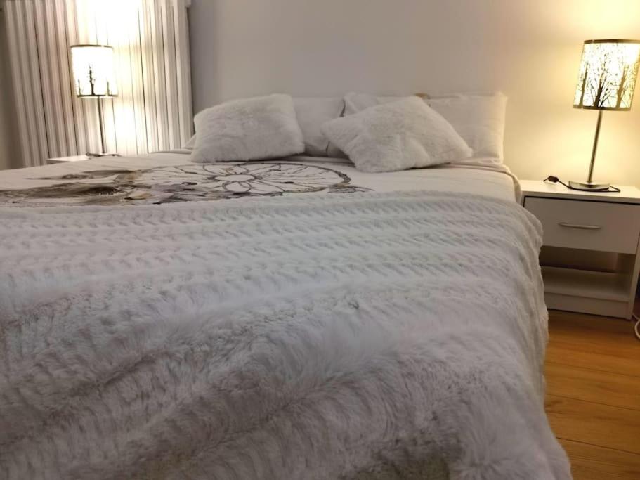 Porte de Genève. Grand appartement en résidence. photo 3
