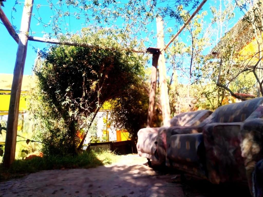 CaSa NIdo de OrO photo 3