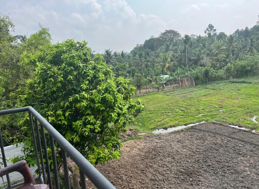 Janaka Gest photo 3