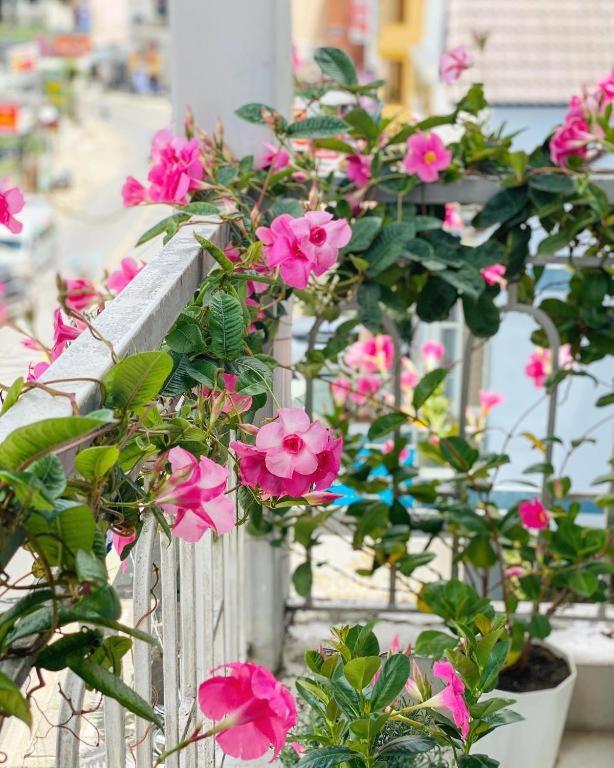 Khách sạn Quang Vinh