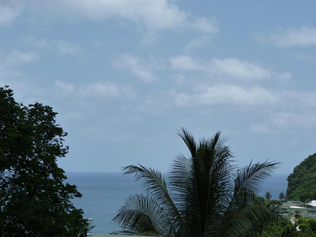 les hauts de deshaies photo 2